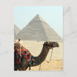 kameelpiramide briefkaart