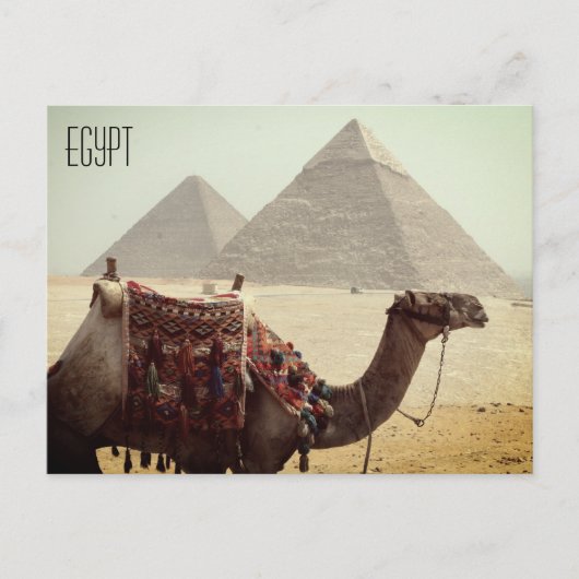 kameelpiramide - egypte briefkaart (Voorkant)