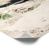 Kameelposter Poster (Hoek)