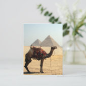 kameelpyramiden briefkaart (Staand voorkant)