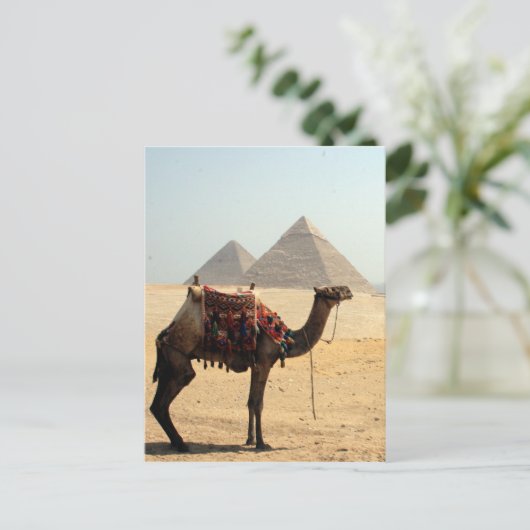 kameelpyramiden briefkaart (Staand voorkant)