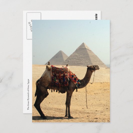 kameelpyramiden briefkaart (Voorkant / Achterkant)
