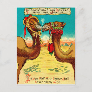 Kameels verliefd, grappige vintage Valentijnsdag Briefkaart
