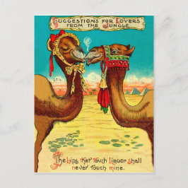 Kameels verliefd, grappige vintage Valentijnsdag Briefkaart