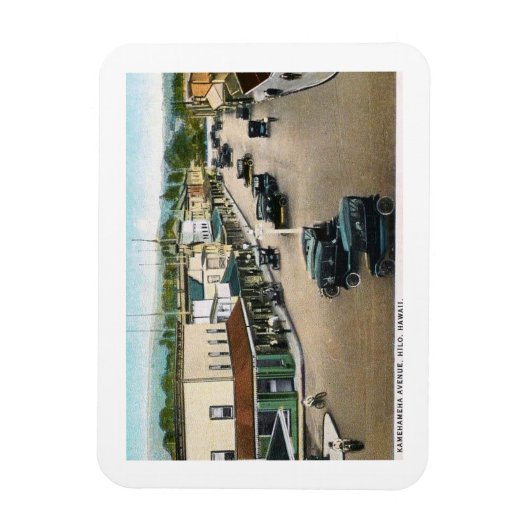 Kamehameha Ave., Hilo, Hawaii Magneet (Verticaal)