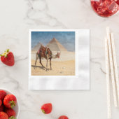 Kamel bij de Pyramiden Servet (Insitu)