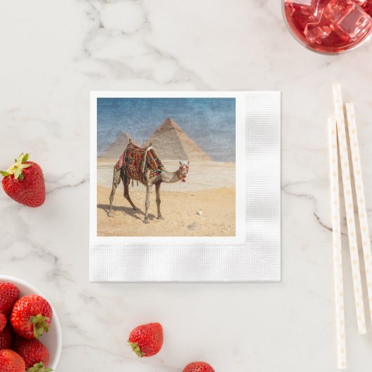 Kamel bij de Pyramiden Servet (Insitu)