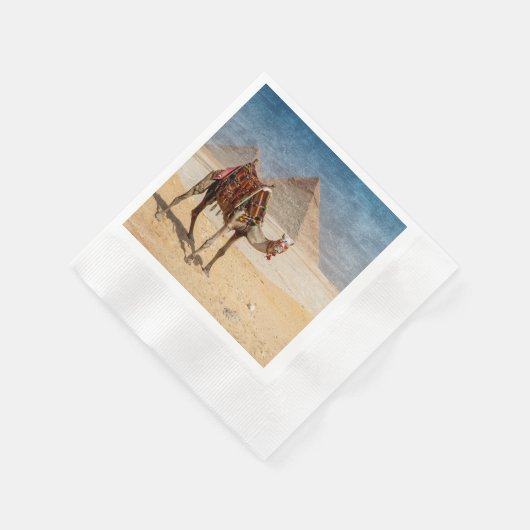 Kamel bij de Pyramiden Servet (Hoek)