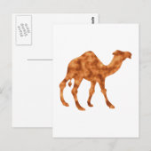 Kamel camel briefkaart (Voorkant / Achterkant)