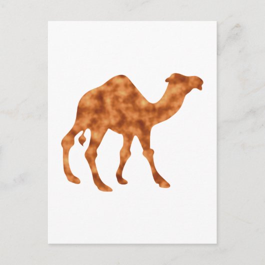 Kamel camel briefkaart (Voorkant)