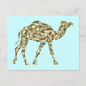 Kamel camel briefkaart (Voorkant)
