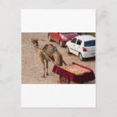 Kamel en auto briefkaart (Voorkant)