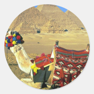 Kamel en pyramiden, Caïro, Egypte Ronde Sticker