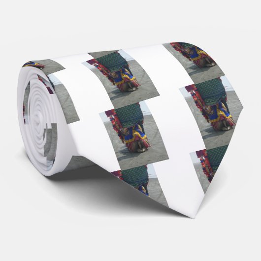 Kamel op de tenen.png stropdas (Opgerold)