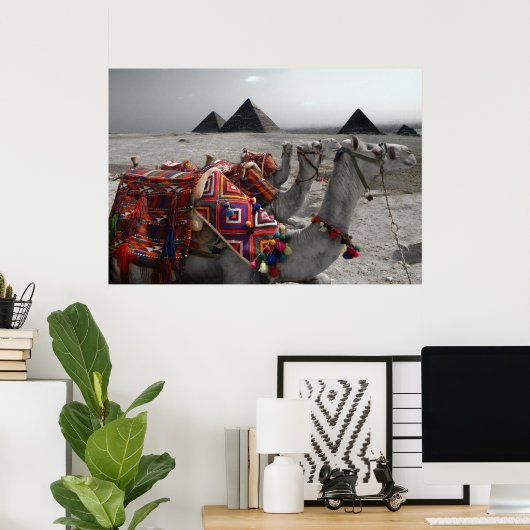 Kamelen aan de Pyramiden Poster (Thuiskantoor)