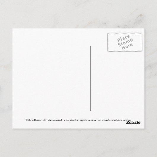 kamelen briefkaart (Achterkant)