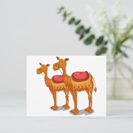 kamelen briefkaart (Staand voorkant)
