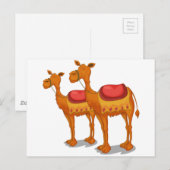 kamelen briefkaart (Voorkant / Achterkant)