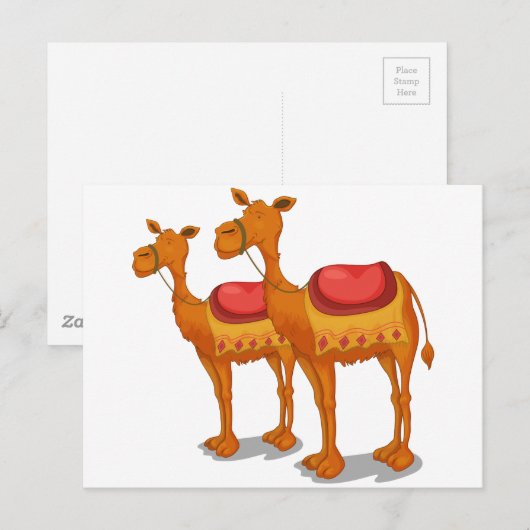 kamelen briefkaart (Voorkant / Achterkant)