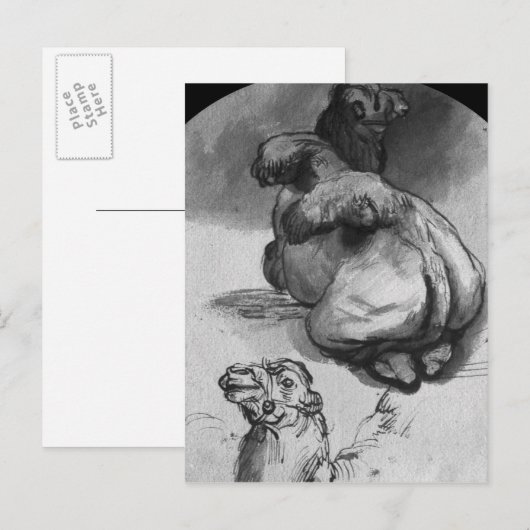 kamelen briefkaart (Voorkant / Achterkant)