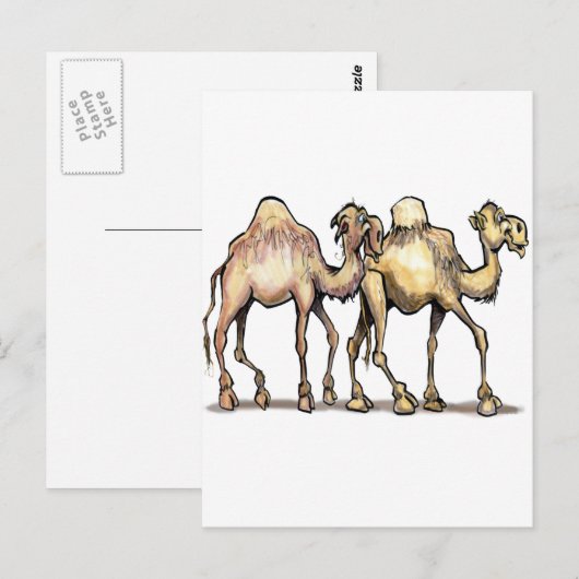 kamelen briefkaart (Voorkant / Achterkant)