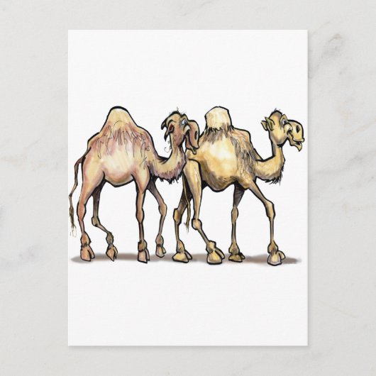 kamelen briefkaart (Voorkant)