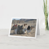 Kamelen die rusten in de woestijn kaart (Voorkant)