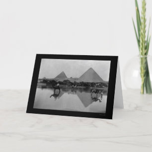 Kamelen en Pyramiden in Egypte 1899 Kaart