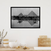Kamelen en Pyramiden in Egypte 1899 Poster (Keuken)