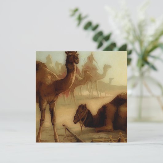  kamelen in de woestijn (Staand voorkant)