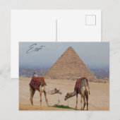 Kamelen in de woestijn briefkaart (Voorkant / Achterkant)