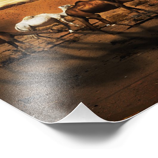 Kamelen in de woestijn foto afdruk (Hoek)