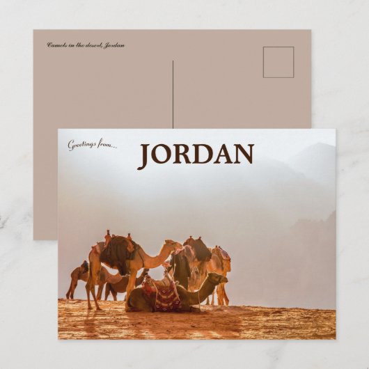 Kamelen in de woestijn in Jordanië Briefkaart (Voorkant / Achterkant)