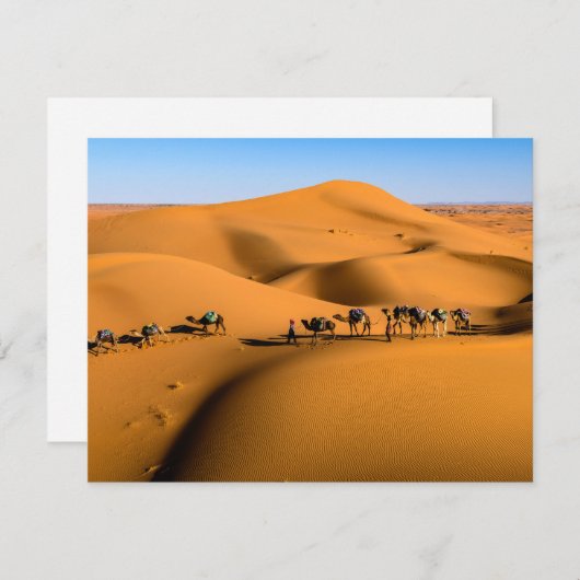 Kamelen in de woestijn onder de blauwe hemel (Voorkant / Achterkant)