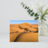 Kamelen in de woestijn onder de blauwe hemel briefkaart (Staand voorkant)