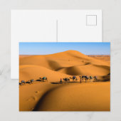 Kamelen in de woestijn onder de blauwe hemel briefkaart (Voorkant / Achterkant)