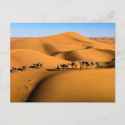 Kamelen in de woestijn onder de blauwe hemel briefkaart (Voorkant)