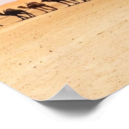 Kamelen in de woestijn poster (Hoek)