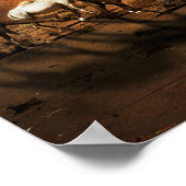 Kamelen in de woestijn poster (Hoek)