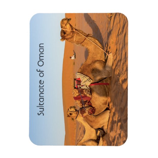 Kamelen in de woestijn van Oman Magneet (Verticaal)