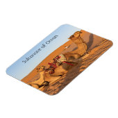 Kamelen in de woestijn van Oman Magneet (Linkerzijde)