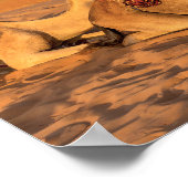 Kamelen in de woestijn van Oman Poster (Hoek)