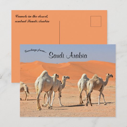 Kamelen in de woestijn van Saoedi-Arabië Briefkaart (Voorkant / Achterkant)