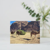 Kamelen in de woestijn van Wadi Rum, woestijn van  Briefkaart (Staand voorkant)