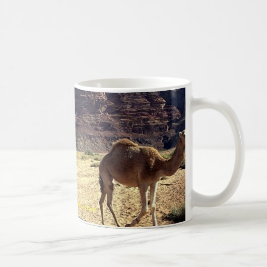 Kamelen in de woestijn van Wadi Rum, woestijn van Koffiemok (Rechts)