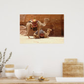 Kamelen in Petra Poster (Keuken)