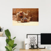 Kamelen in Petra Poster (Thuiskantoor)