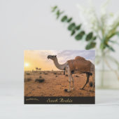 Kamelen in Saoedi-Arabië Briefkaart (Staand voorkant)