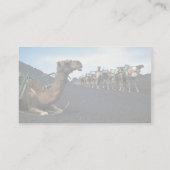 Kamelen, Lanzarote Visitekaartje (Achterkant)