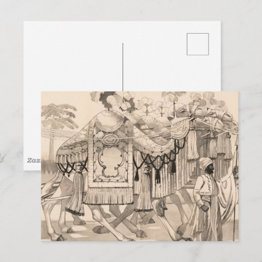 Kamelen lopen gekleed in kostuum briefkaart (Voorkant / Achterkant)